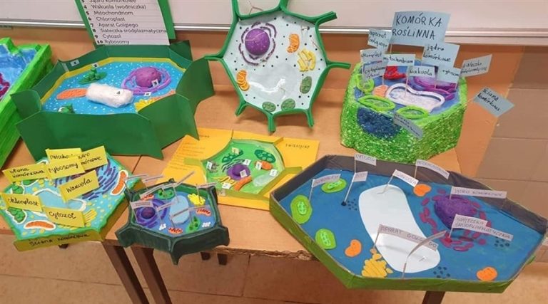 Koło biologiczne w SP 8 w Nowym Sączu