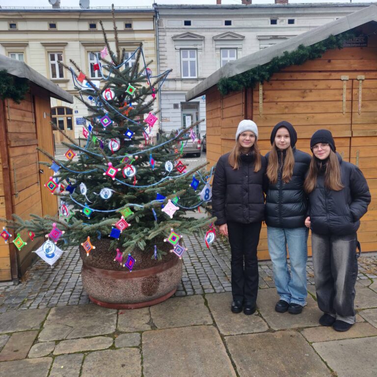 Read more about the article Nasza choinka na sądeckim rynku