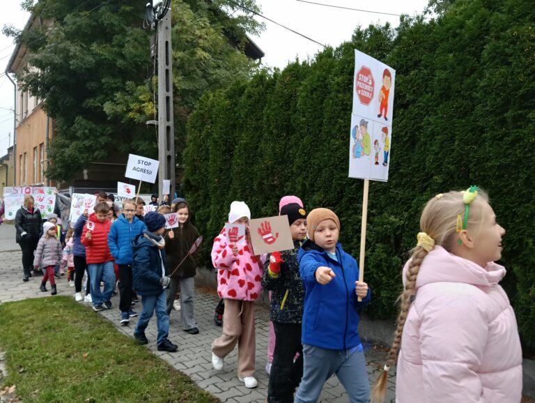 Read more about the article Pikieta Stop Przemocy